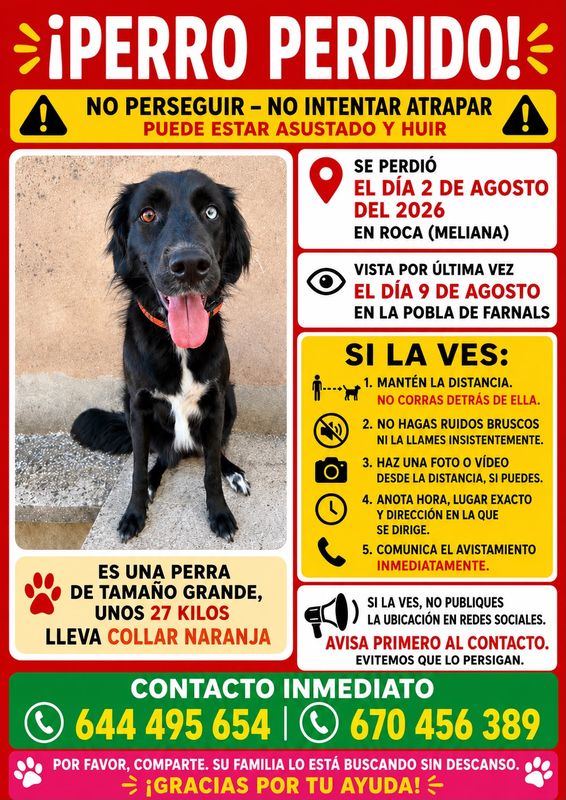 Kali está perdida