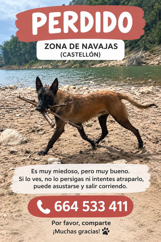 Pipo está perdido