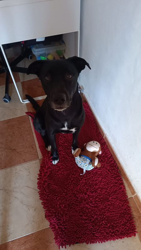Coco ha vuelto a casa