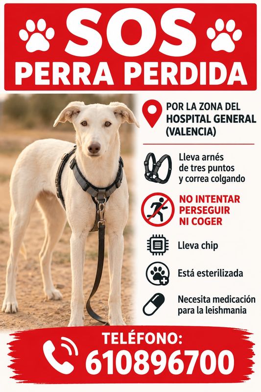 Sansa está perdida