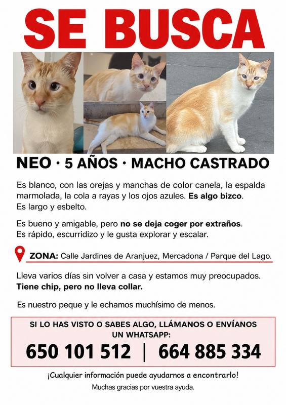 NEO está perdido