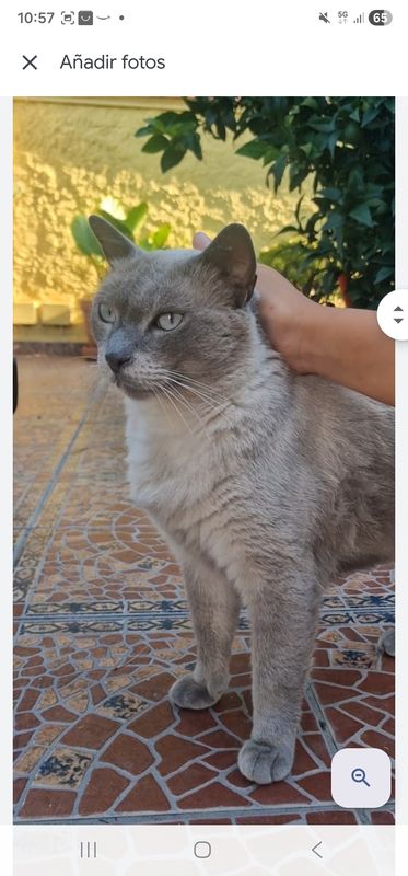 Nina está perdida