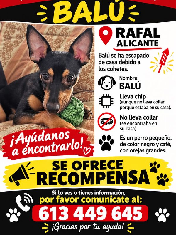 Balu