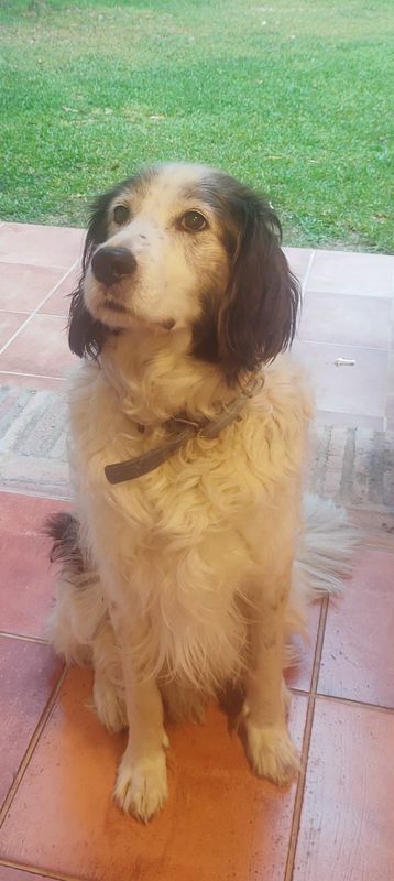 Tao está perdido
