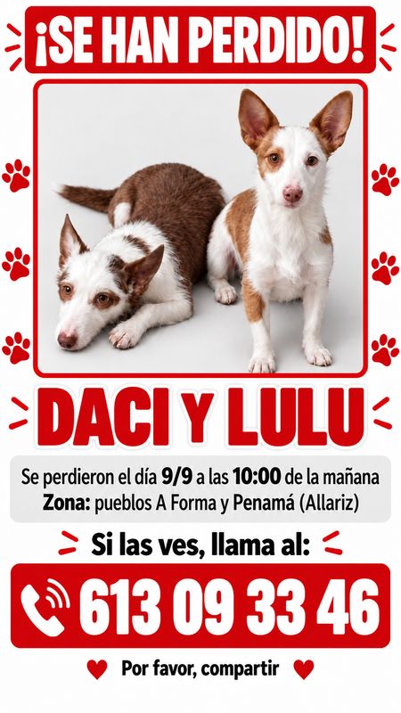 Daci y Lulu, Perro perdida