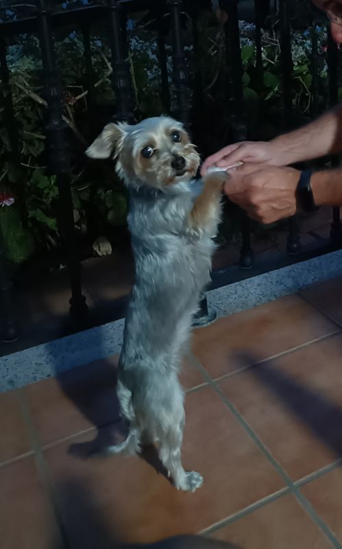 Pepa