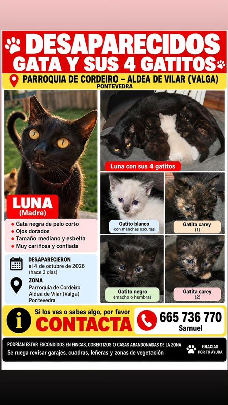 Luna está perdida