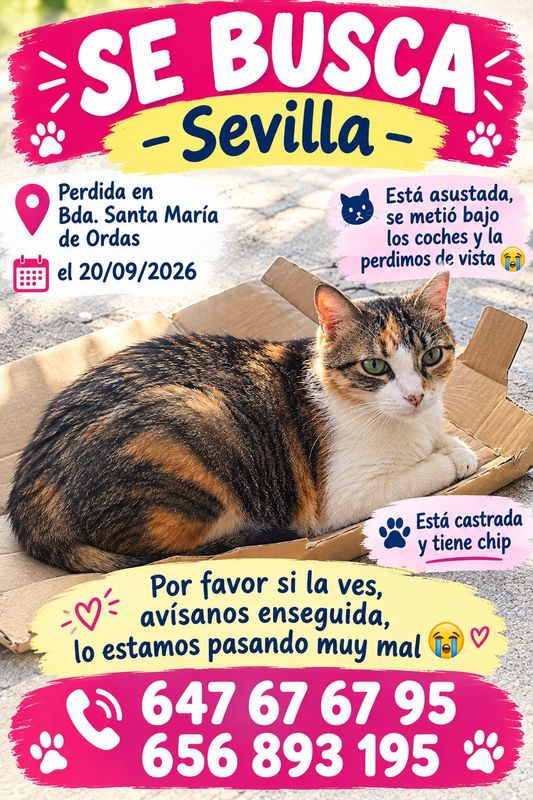 Lola está perdida