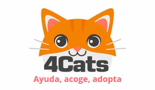 4cats