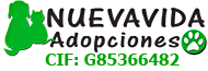 Nueva vida adopciones
