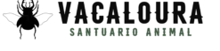 Vacaloura