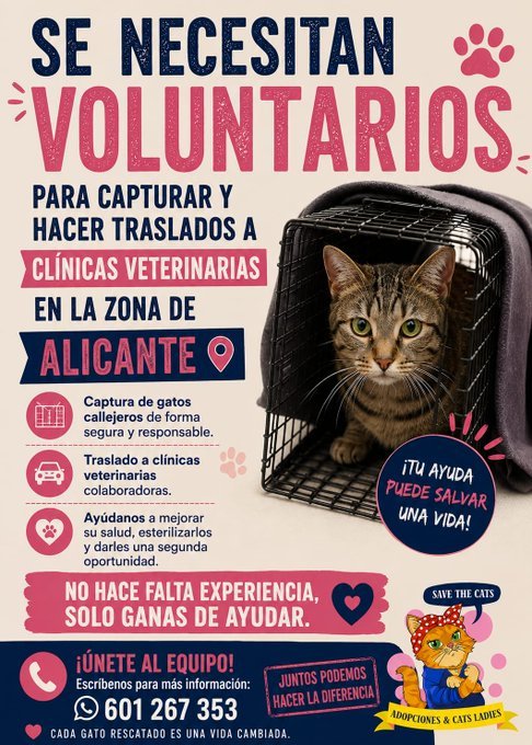 Publicación de ACOFAL