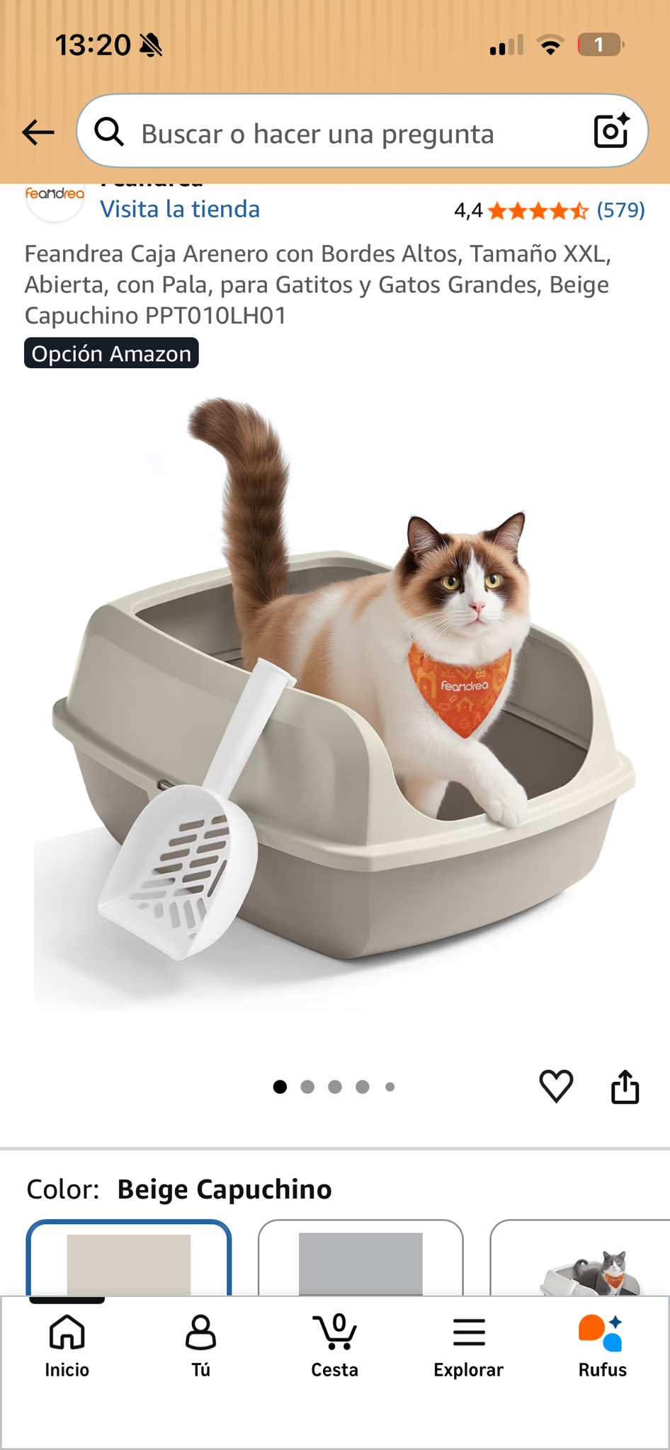 Publicación de Asociación Felina de Romangordo
